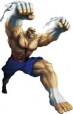 Sagat