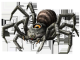 Armogohma