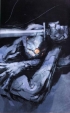 Gray Fox
