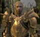 King Cailan