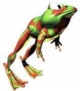 Winky the Frog